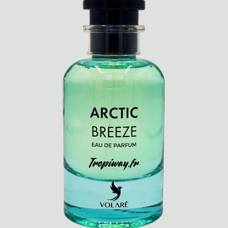 Panier Express Arctic Breeze Volaré Eau de Parfum 100ml Store