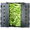 Panier Express Gombo frais 3kg Flash Sale