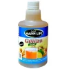 Panier Express Lot de 12 | Jus de Gingembre | HAPPI LIFE | Bella | (12x500ml) Outlet